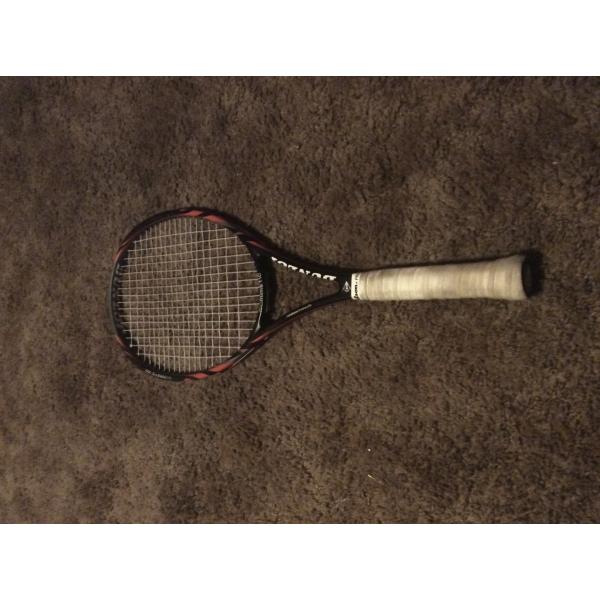 Biomimetic 300