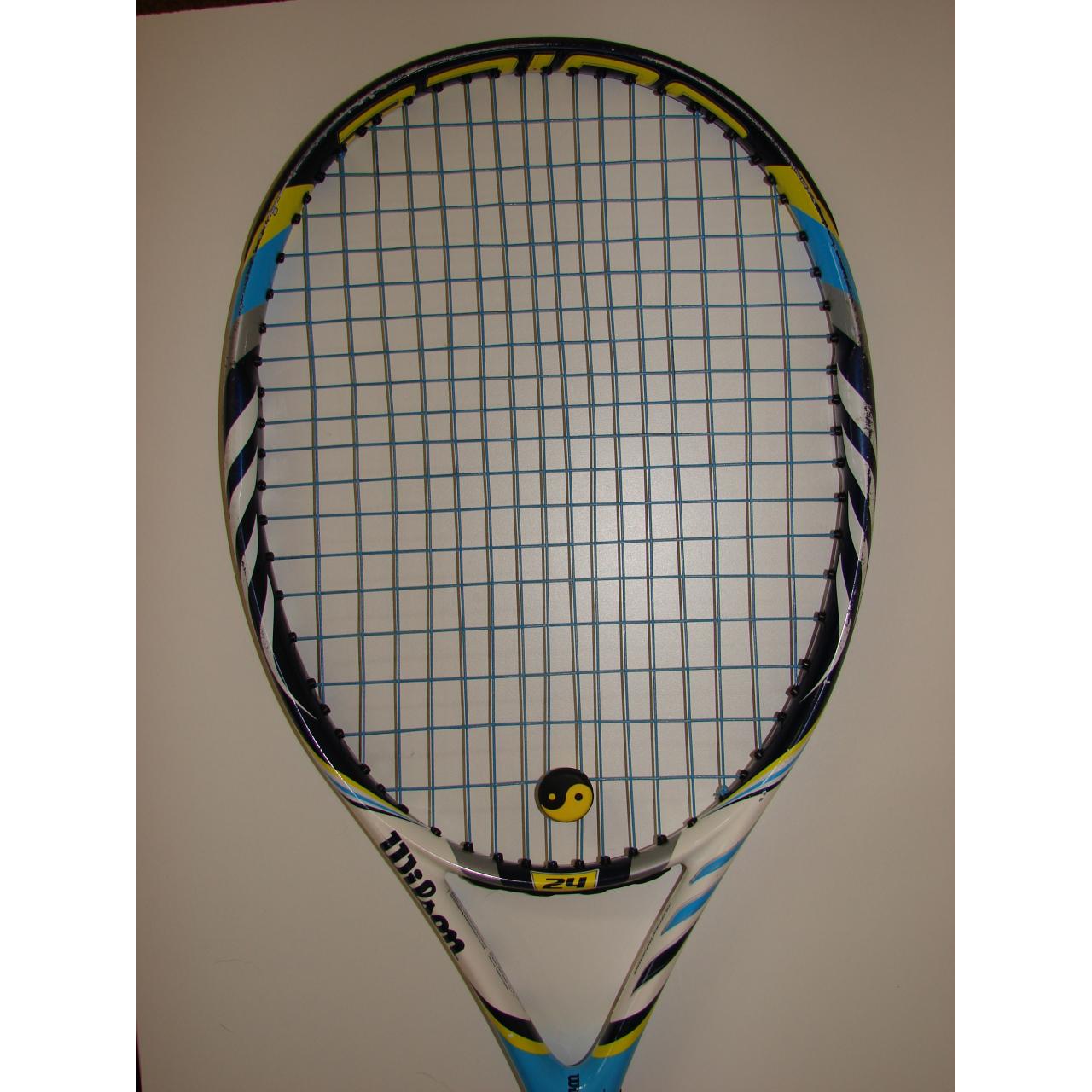  Wilson juice 24